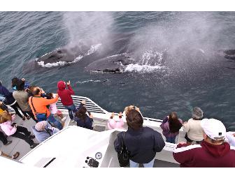 One-Week Dream Vacation For 6 at Santa Barbara Beach Condo!