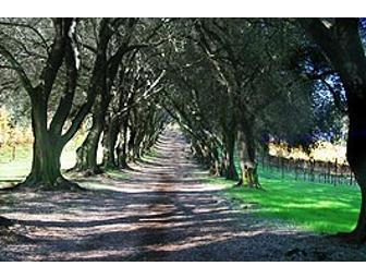 Wine Tour and Tasting for Two at Schramsberg Vineyards in Calistoga!