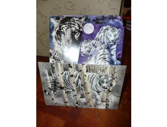 Box of Notecards - Wild White Tigers