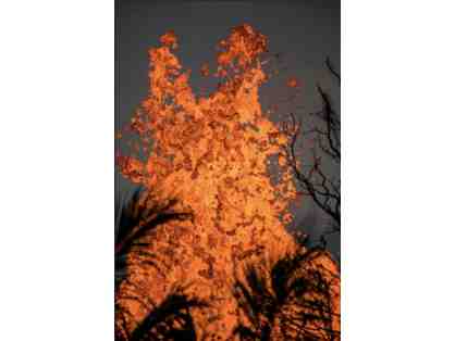 Fountain of lava with coconut palm fronds.