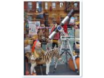 ! Dinosaur Hill - $25 Gift Certificate