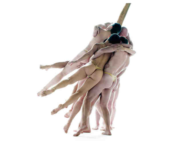 (2) Tickets to a Performance of Choice at JOYCE THEATER Until Aug. 9, 2014