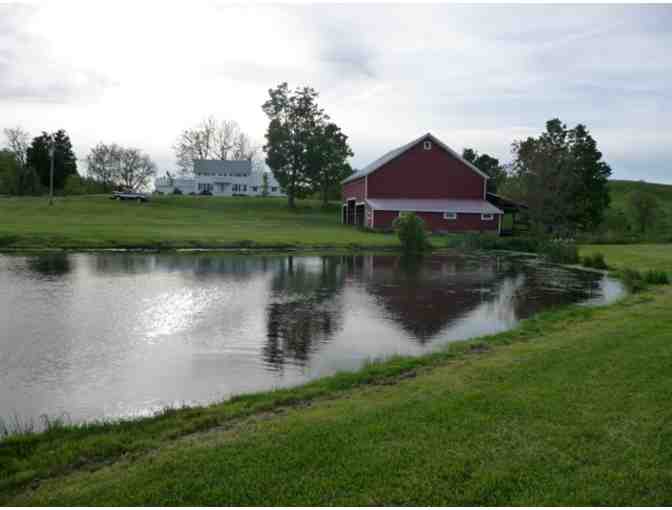 ! A Weekend Stay at a Gorgeous Country Home Near Hudson, NY