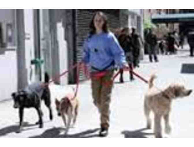 3-Day Total Wellness Experience at BISCUITS & BATH DOG RETREAT