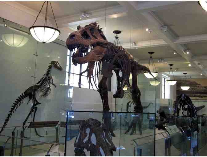 (1) Year Family Membership at the AMERICAN MUSEUM Of NATURAL HISTORY