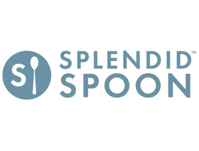 SPLENDID SPOON - One Week of PROGRAM 2.0 home-delivered!