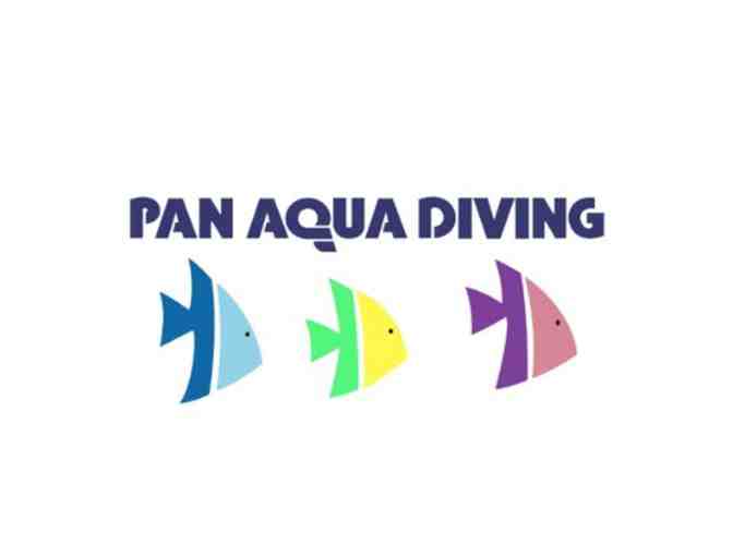 Discover Scuba Class for (2) in NYC  at PAN AQUA DIVING!
