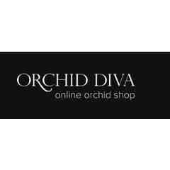 ORCHID DIVA