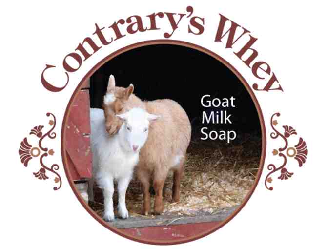 Contrary's Whey Goat Milk Soap- Six Bars