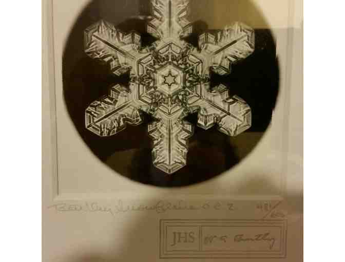 Bentley Snowflake Print