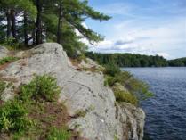 Dogatraz! One-Week Private Get-a-way on Spruce Island!