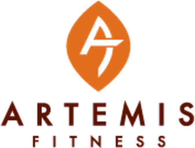Artemis Fitness: Training Package