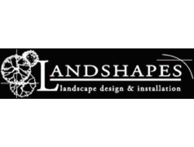 Landshapes: Deciduous Tree Planted and Fertilized in Your Yard