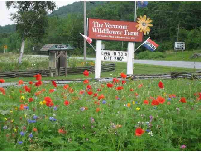 $50 Gift Certificate to Vermont Wildflower Farm
