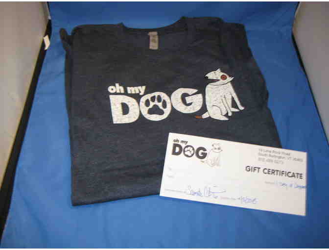 Doggie daycare from Oh My Dog