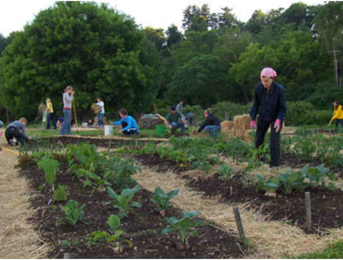 One cubic yard of Farm-Crafted Compost??A? or Topsoil Plus??A?