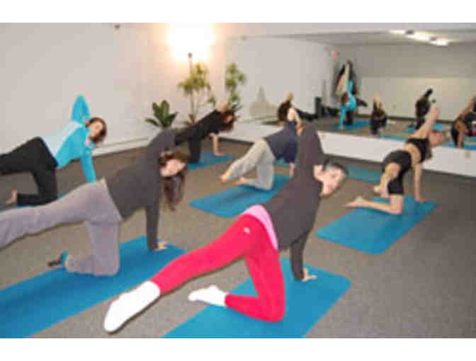 1 Private equipment session at Absolute Pilates