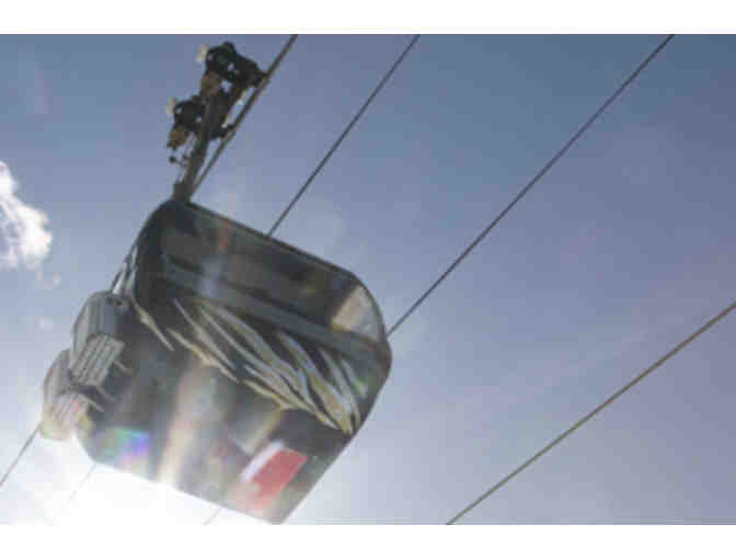 Killington - Summer (2) Adventure Center Day Passes