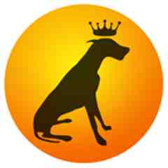 Gulliver's Doggie Daycare