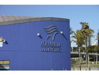 Peek Into the Deep for a Day