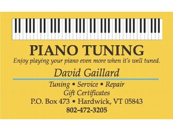 Piano Tuning by David Gaillard