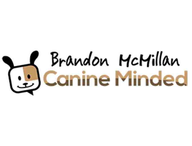 Canine Minded - 1 Dog Training Session