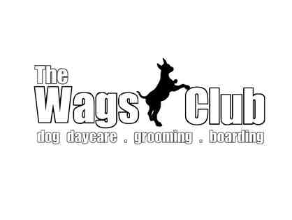 The Wags Club - 1 week of daycare + free grooming session