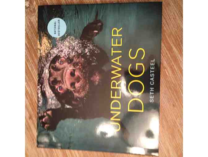 Seth Casteel - Signed Underwater Dog books