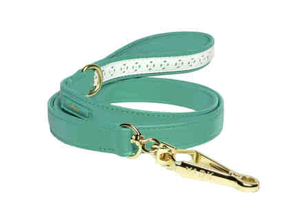Yark Leash & Collar set