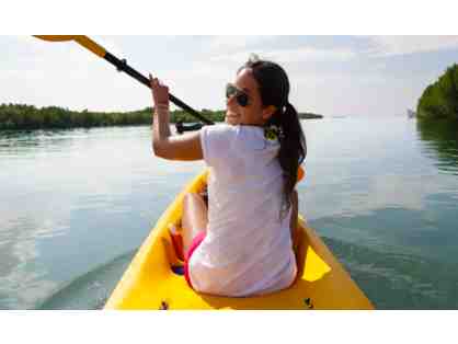 All-day Kayak or Stand Up Paddleboard Rental for Four (4) People - 101 Surf Sports