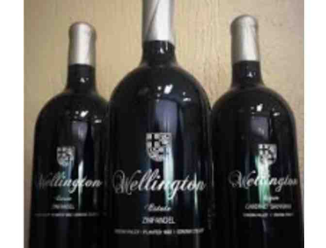 Wellington Cellars - VIP Seated Tasting for Four (4) (4/4)