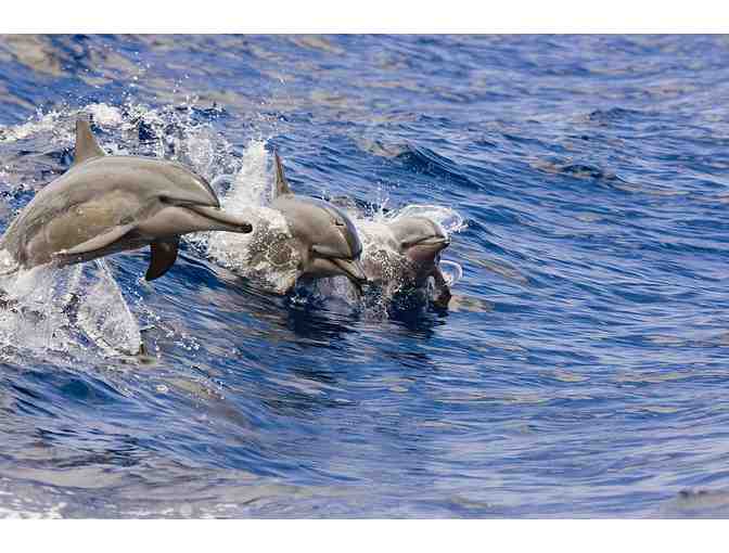 Sunset Sail for Two (2) with Hawaii Nautical