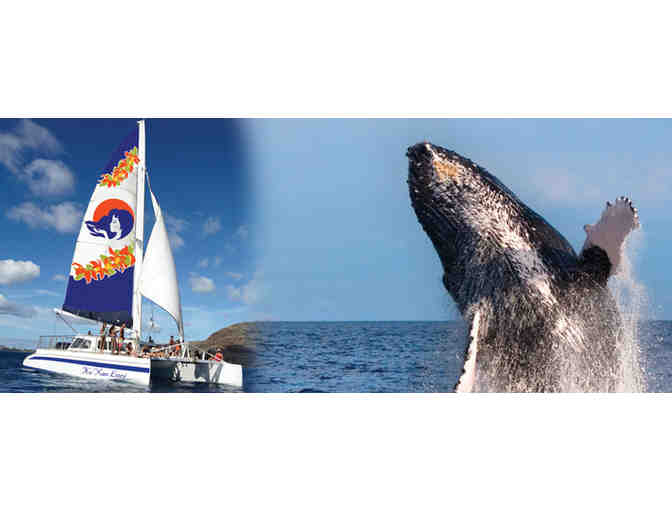 Whale Watch Tour for Two (2) with Hawaii Nautical