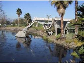 Natural History Museum or La Brea Tar Pits - Four Guest Passes