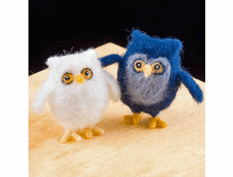 Pure Play Kids' Genetics/DNA and Owl Felting Kit