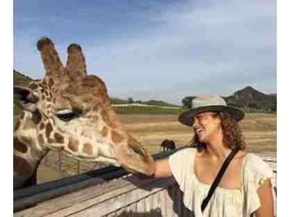 Malibu Wine Safari - Two (2) Giraffe Explorer Safari Tours