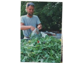 Day in the Life of a Dane County Farmer's Market Vendor