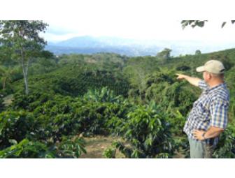 A Day in the Life of a Home Coffee Roaster