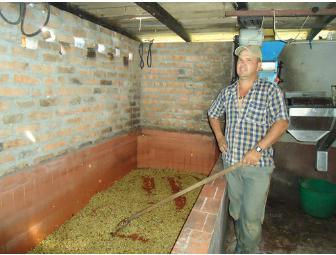 A Day in the Life of a Home Coffee Roaster