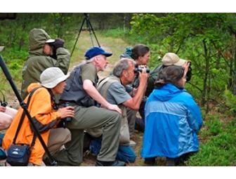 Birdwatching in the Land of Leopold
