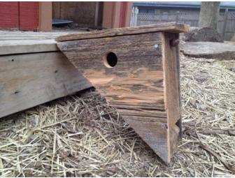 Rustic Bluebird House