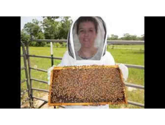 Day in the Life of a Beekeeper - Photo 1
