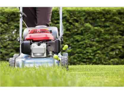 Koen's Lawn Services Spring Cleaning and Lawn Mow