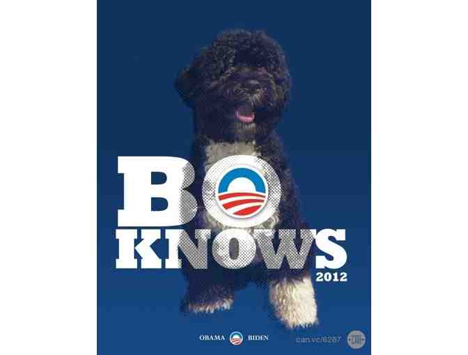 $100 worth of art from the Creative Action Network