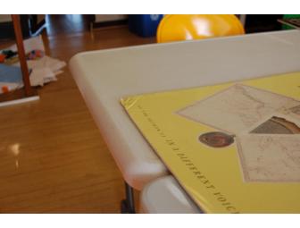 Signed poster: Carol Gilligan's 'The Birth of Pleasure'