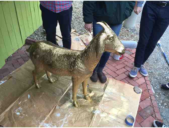 Do It For The Kids Group 5 Goat