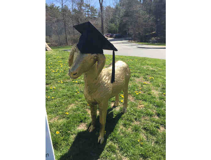 Do It For The Kids Group 5 Goat