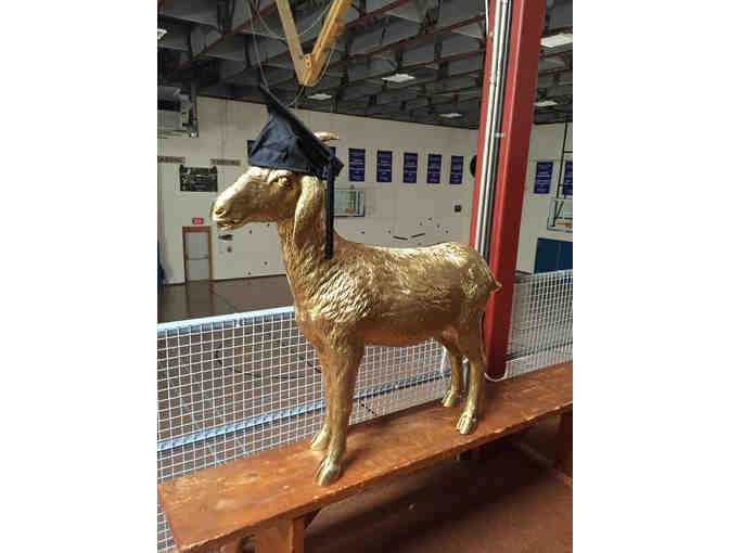 Do It For The Kids Group 5 Goat