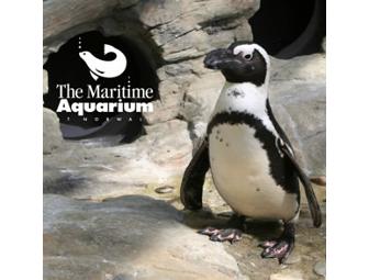 Pair of Admission Tickets Plus IMAX Movie at The Maritime Aquarium at Norwalk