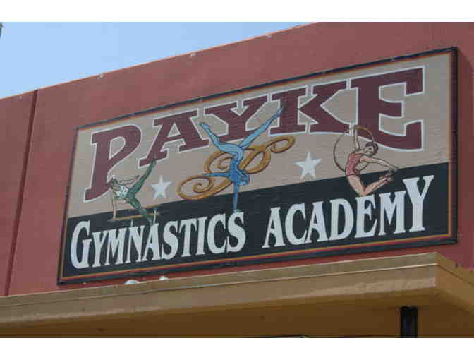 Payke Gymnastics Academy Classes